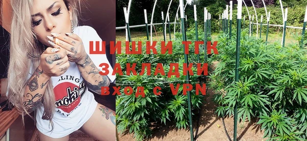 прущие грибы Верхнеуральск