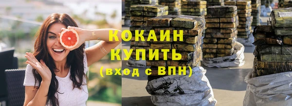 прущие грибы Верхнеуральск